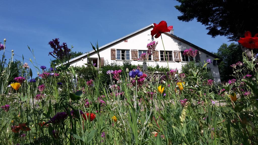 Bed and Breakfast Chambre&Table D'Hotes Ptitmonde Ban-sur-Meurthe-Clefcy Exterior foto