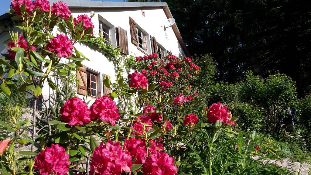 Bed and Breakfast Chambre&Table D'Hotes Ptitmonde Ban-sur-Meurthe-Clefcy Exterior foto